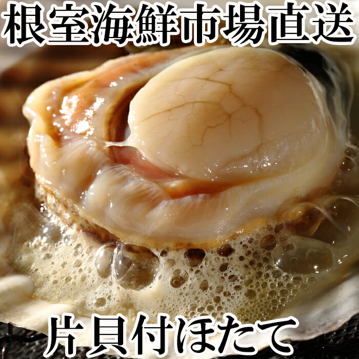 【ふるさと納税】【緊急支援品】＼漁業者応援品／片貝ほたて10〜13枚×2袋 A-14134