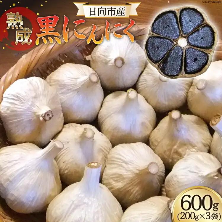 黒にんにく(200g×3袋)《国産・自家農園栽培・農薬不使用》 [甲斐自然派農園 宮崎県 日向市 452060130]