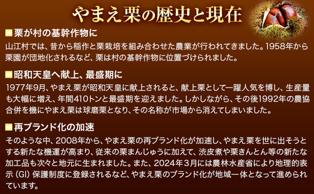 GI認証登録 山江村の やまえ栗 生栗 3kg 品種指定なし 筑波 美玖里 など旬の品種 やまえ栗ブランド部会 有限会社やまえ堂《9月上旬-10月下旬頃出荷》熊本県 球磨郡 山江村 栗 くり フルーツ
