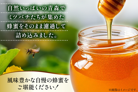 はちみつ 国産 石蔵のはちみつ りんごはちみつ 450g 2本 セット [東養蜂場 青森県 おいらせ町 oi02ayo660016] ハチミツ 蜂蜜