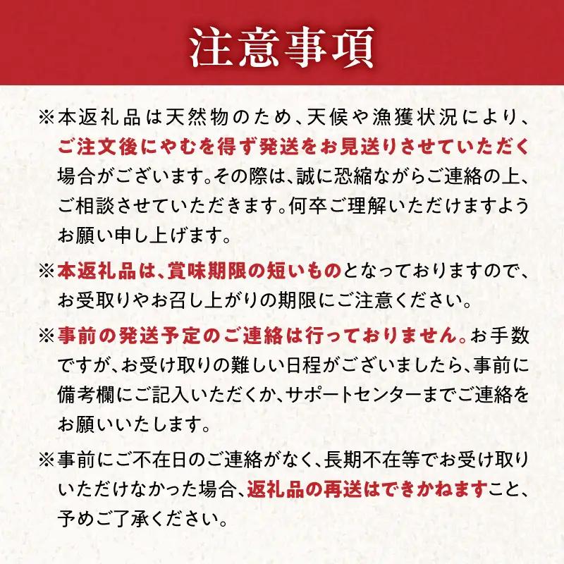 無添加 生ムラサキウニ 塩水パック 100g T032-004 雲丹 海産物 季節限定