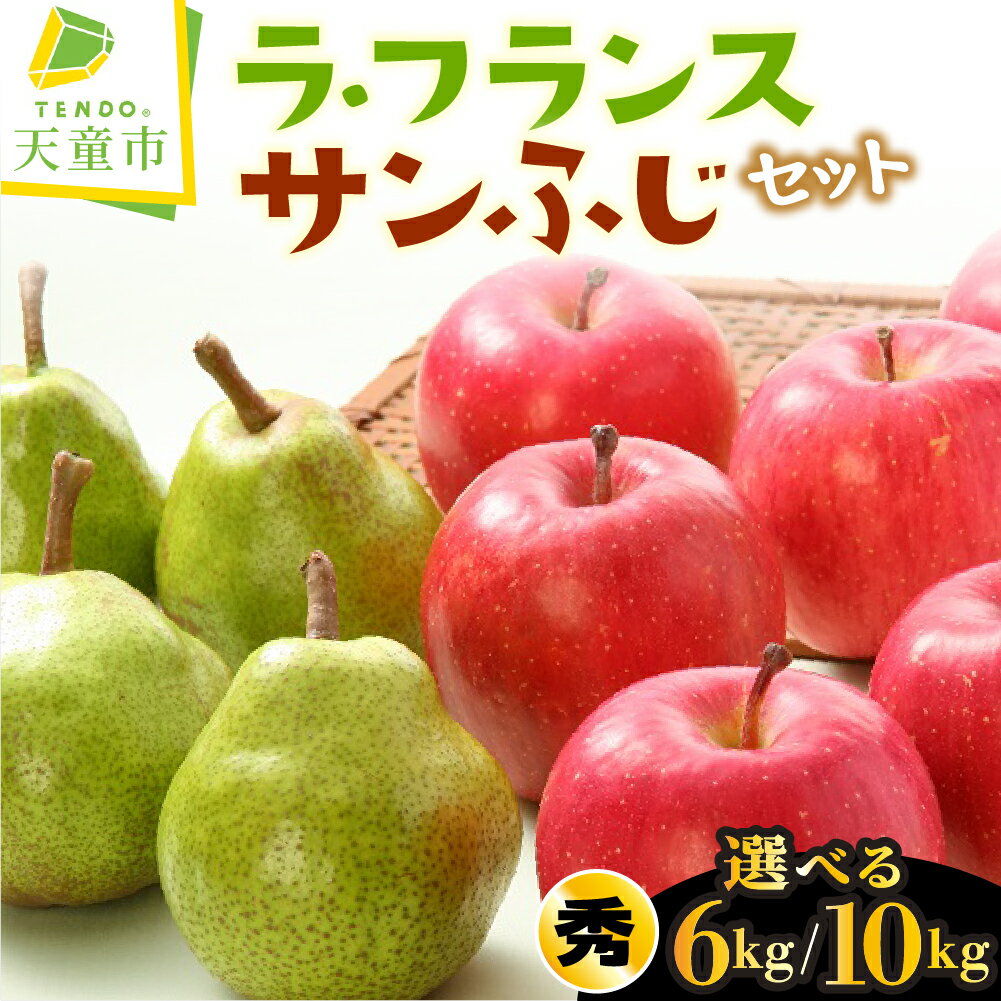 【ふるさと納税】 ラ・フランス & サンふじ セット 選べる 6kg / 10kg ラフランス 洋梨 ふじ りんご 果物 フルーツ 詰合せ 秀 ご家庭用 のし 贈答 ギフト プレゼント おすそ分け お取り寄せ 旬 秋 冬 期間限定 送料無料 先行予約 【 山形県 天童市 】
