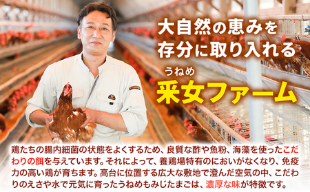 うねめもみじたまご 約80個　卵