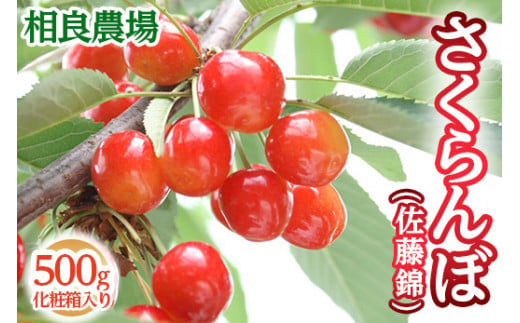 16-P　相良農場　さくらんぼ（佐藤錦）500g 化粧箱入り ｜福島県産 サクランボ　※2025年6月中旬～6月下旬頃発送予定