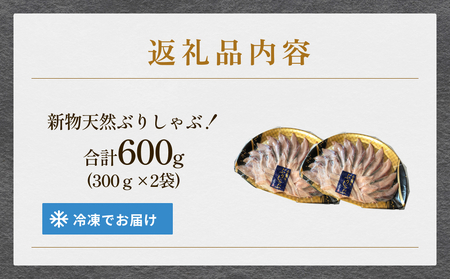 【氷見鰤】新物天然ぶりしゃぶ！300ｇ×2パック　2～3人用　満足サイズ  | 鰤 ブリしゃぶ しゃぶしゃぶ 国産 天然 ブリ 富山 氷見 お取り寄せ 特産品 冷凍 肴 氷見漁港 富山湾 天然鰤 鍋 