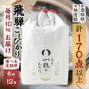 【ふるさと納税】米 定期便 6ヵ月 12ヶ月 選べる回数 6回 12回 米 10kg 単品 令和6年産 飛騨コシヒカリ 「その、一粒のために。」お米 精米 飯 ごはん 高級 ギフト 贈り物 白米 新米[Q2387] 40000～480000円