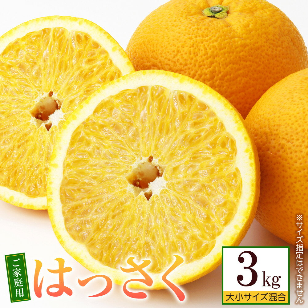 【ふるさと納税】［先行予約］ご家庭用 はっさく約3kg 大小サイズ 混合 | 八朔 果物 フルーツ 柑橘 かんきつ 和歌山 みかん 有田みかん くだもの 食品 人気 おすすめ 送料無料