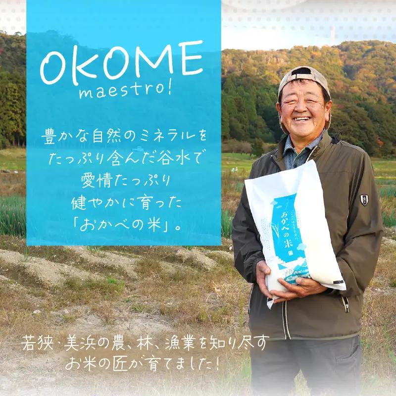 令和8年産 ふっくら モチモチ食感 大人気 濃厚 ミルキークィーン（白米）5kg【新米 米】 [m29-a031]