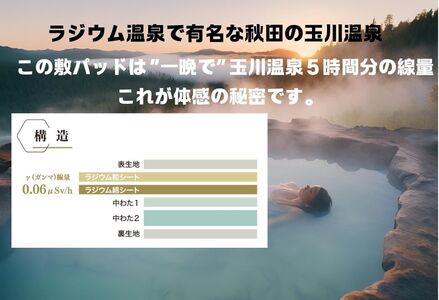 ラジウム温泉の力を取り入れたホルミシス敷パッド(ダブル)_【G0596】