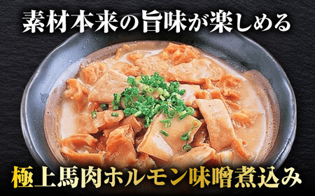 極上！馬肉ホルモン味噌煮込み（約180g×10）【オルガニコ山鹿】[ZFH008]