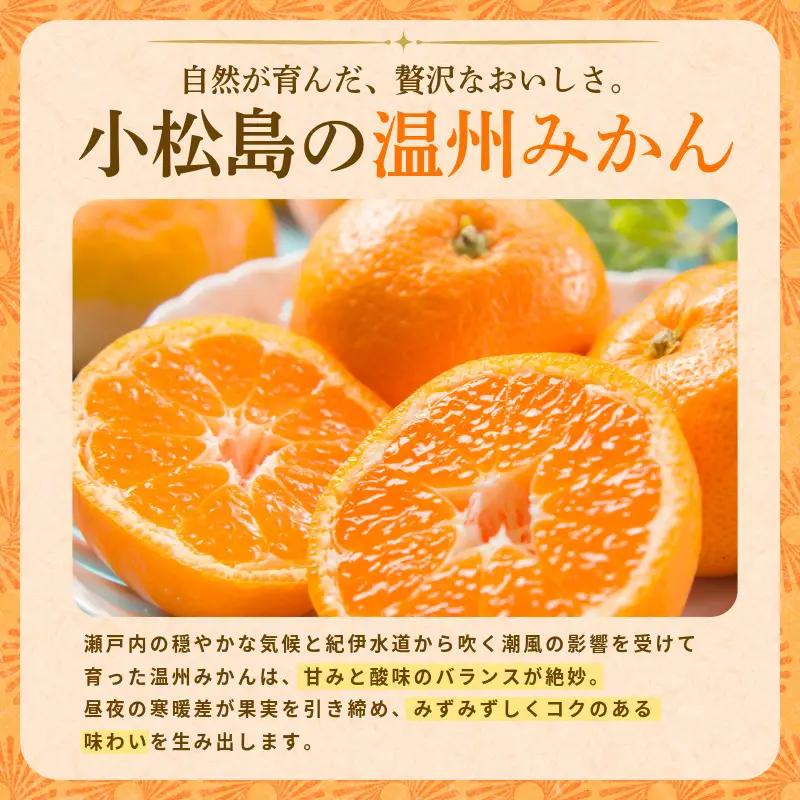 【2026年10月下旬順次発送】　みかん 10kg 温州みかん S~Lサイズ 小松島市 ミカン