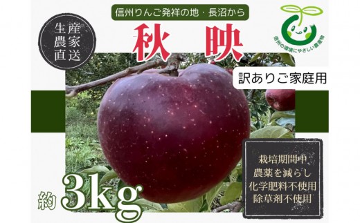 
                  【訳あり】ヤーミーズファーム　生産農家直送 人にやさしい 長沼りんご・秋映3kg（ご家庭用） |  りんご 林檎 フルーツ 果物 秋映 家庭用 長沼 おすすめ 人気 送料無料 長野県 長野市 信州 信濃 ふるさと納税
                