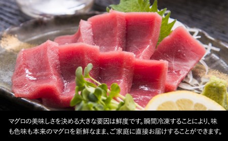 本マグロ まぐろお刺身用 赤身5人前(800g) 鮪 海鮮丼 刺し身 刺身 盛り合わせ 冷凍 魚の刺身 大分県産 九州産 津久見市 国産【tsu000301】