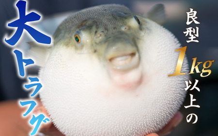 若狭とらふぐ鍋セットB（3～5人前）