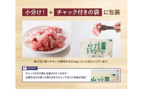 宮崎県産ブランド豚 小間切れ 3.4kg(340g×10袋)【肉 豚肉 国産 九州産 きじょん山豚 豚こま コマ肉 小分け チャック付き たっぷり】