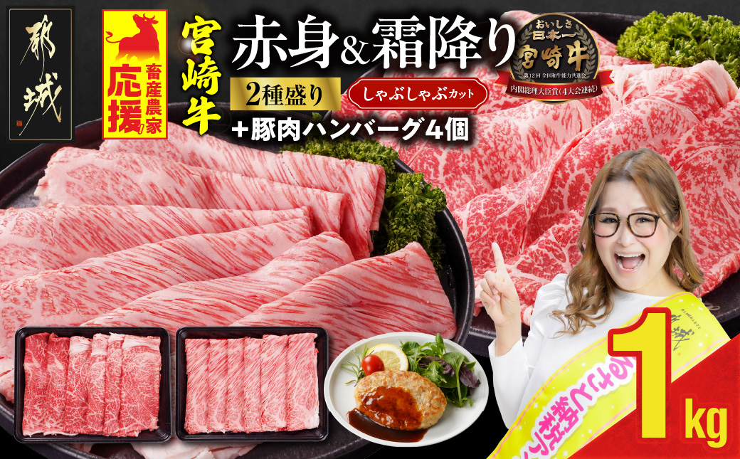畜産農家応援! 宮崎牛しゃぶしゃぶ2種セット500g×2パック+豚肉ハンバーグ100g×4個_17-N203-ESH