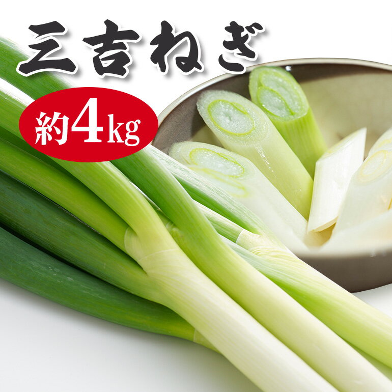 【ふるさと納税】 特選ネギ 約4kg 小野瀬農園 【小野瀬農園】 【ho1416】