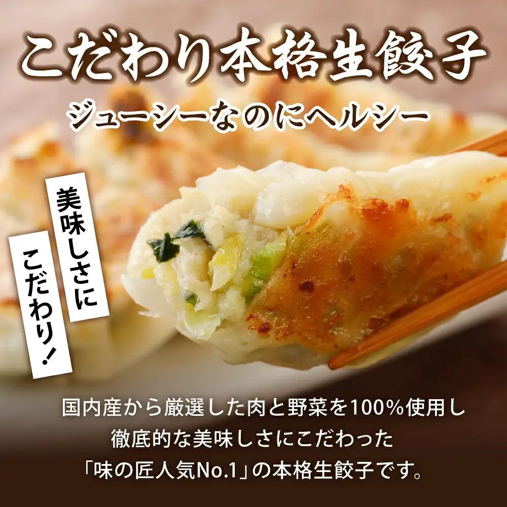 餃子 3種類 詰め合わせ 計60個（12人前）