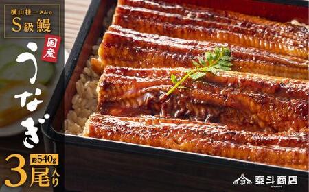 横山桂一さんのS級 鰻　特大サイズ３尾（計540g以上）| うなぎ うなぎ