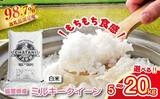 
                  【新米】令和8年産 ミルキークイーン 白米 5kg / 10kg / 20kg 近江米 【VSKU3】 米 5kg 10kg 20kg 白米 みるきーくいーん ミルキークィーン 国産 農家直送 環境こだわり お米 こめ おこめ 先行予約 農家直送 産地直送 滋賀県 近江八幡市
                