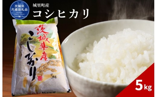 コシヒカリ 5kg 米 こめ コメ お米 おこめ こしひかり 白米 精米 ごはん ご飯 令和7年産 茨城県 城里町 高萩市（茨城県共通返礼品・城里町産）