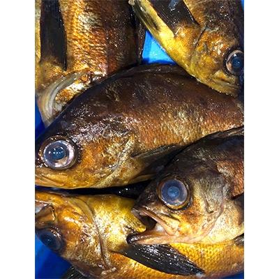 ふるさと納税 八幡浜市 竹中水産の大サイズ「メバル又はホゴ」1キロ!【D22-242】