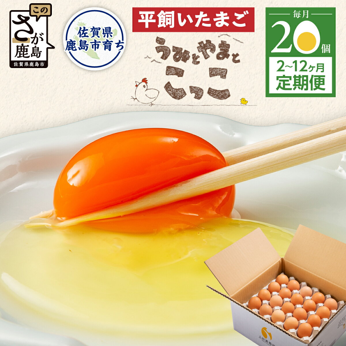 【ふるさと納税】【毎月定期便】高評価★5.0 平飼い卵 20個 2〜12ヶ月 うみとやまとこっこ サイズ混合 | ふるさと納税 卵 たまご タマゴ 玉子 生卵 鶏卵 定期便 2回 3回 6回 12回 朝食 ふるさと 産地直送 佐賀県 鹿島市 送料無料