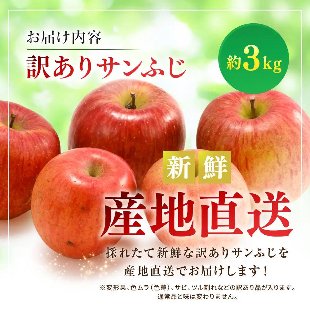 サンふじ（訳あり）3kg | りんご フルーツ 果物 りんご