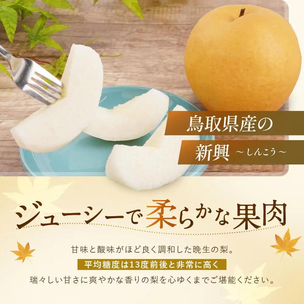 新興 5kg 10～12玉 先行予約 数量限定 鳥取県産 梨 梨