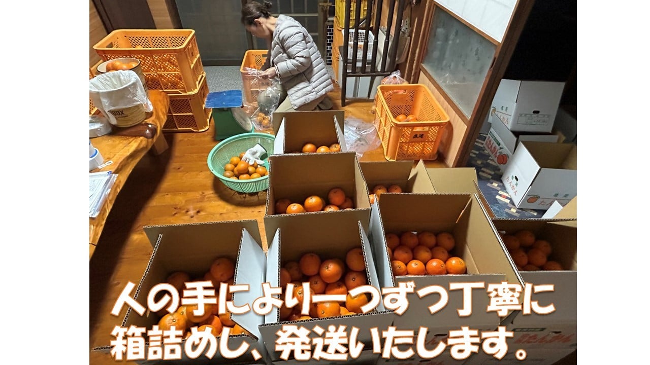 人のてにより一つずつ丁寧に箱詰めし、発送いたします。