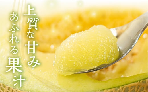 伊良湖産 限定品 マスクメロン 3玉 Premium 2025年7月以降順次発送 箱詰め メロン フルーツ 果物 お中元 お取り寄せ ギフト 渥美半島 田原市 産地直送 送料無料