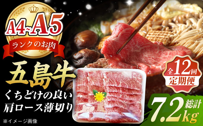 【全12回定期便】やみつき五島牛薄切り 600g【肉のマルヒサ】 [PCV031]