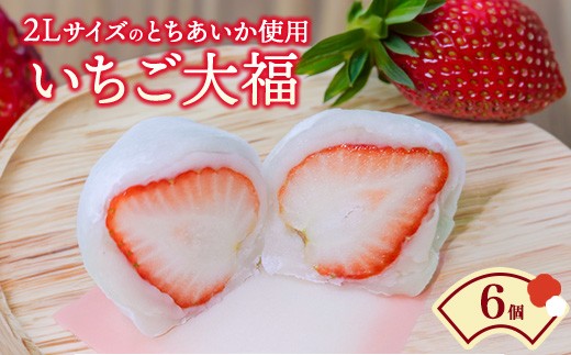 いちご大福（6個入） ｜ 苺大福 苺 いちご イチゴ 大福 期間限定 ご褒美 和菓子 スイーツ デザート 老舗 栃木県 鹿沼市 ※2025年12月上旬～2026年4月下旬頃に順次発送予定 ※離島への配送不可