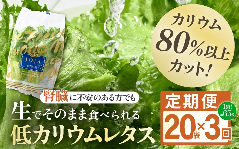 
                  定期便 ≪3ヶ月連続お届け≫ 【機能性×美味しさ】低カリウム水耕レタス JOIA（ジョイア） 約65g×20袋（栽培期間中農薬不使用・洗わず食べられる）【野菜 生野菜 レタス サラダ お弁当 水耕栽培 洗わず食べられる 時短 付け合わせ】[m40-g006]
                