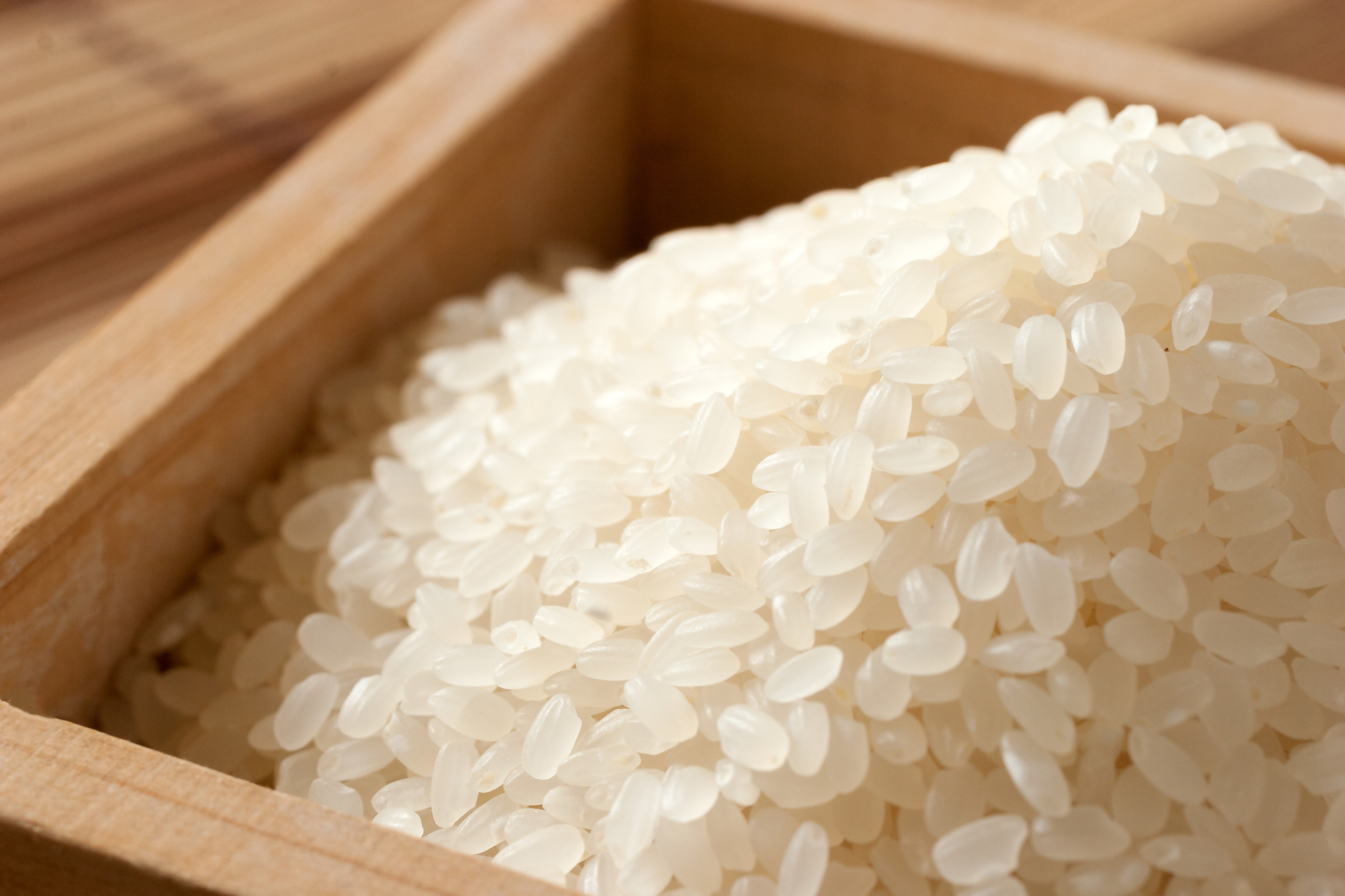 【令和7年産】【10月発送予定】先行予約 新米 ミルキークイーン 10㎏ ( 5kg ×2 ) 農家直送 ミルキークイーン お米 米 こめ コメ 10キロ ミルキークイーン 精米 令和7年度 ミルキー