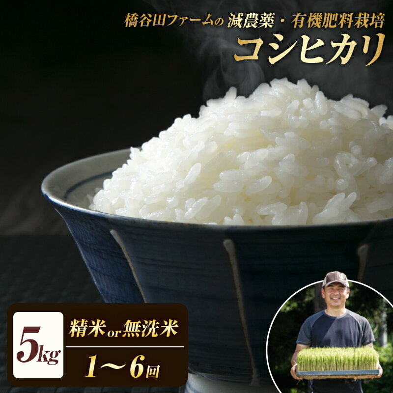 【ふるさと納税】《選べる精米方法・定期便》 令和7年産 減農薬・有機肥料栽培 コシヒカリ 精米 / 無洗米 5kg 米 お米 おこめ ご飯 ごはん 福島県 西会津町 F4D-0729var