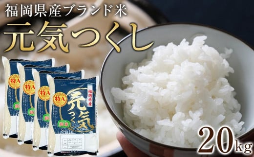 【先行予約】＜令和7年産＞福岡県産ブランド米「元気つくし」白米20kg ＜筑前町＞【米 ブランド米 ブランド 白米 元気つくし 令和7年産 20kg 20キロ 家庭用  お取り寄せ お土産 福岡県産 取り寄せ グルメ 福岡県 筑前町 CE002】