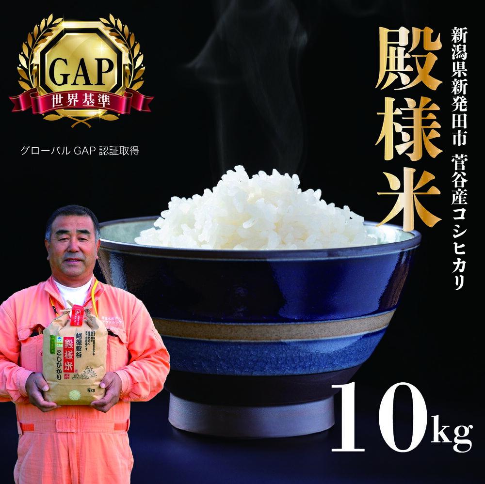 【ふるさと納税】 新潟県産 越後菅谷殿様米 10kg 令和7年産 【 新潟県産 新発田産 米 10kg 越後菅谷 殿様米 コシヒカリ echigosugatani001 】