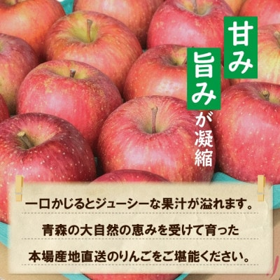 【青森市産】糖度13度以上保証!サンふじ 訳アリ 家庭用 約5kg ※離島・沖縄は配送不可【配送不可地域:離島・沖縄県】