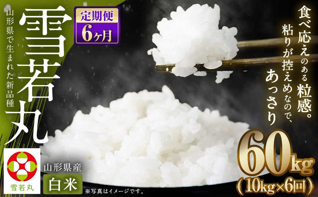 
            【6ヶ月定期便】【令和7年産新米】〈白米〉 雪若丸 10kg×6回 山形県産 精米 【2025年11月上旬発送開始予定】
          