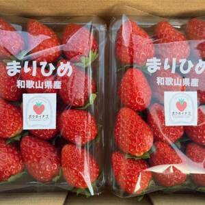 【2025年5月より順次発送】和歌山県産ブランドいちご「まりひめ」約300g×2パック入り(日高町)【配送不可地域：離島・北海道・沖縄県】【1531395】