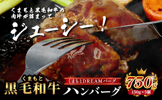 くまもと黒毛和牛 《 クリスマス セット 》ローストビーフ 500g ・ DREAMバーグ 150g×5パック ※12月19・20日限定発送※ 黒毛 和牛 100％ ハンバーグ ごちそう ロースト ビ