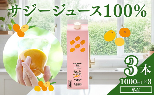 サジージュース 100% 1000ml×3本セット | サジー シーベリー 沙棘 グアマラル 健康ドリンク 健康 美容 栄養 果汁 鉄分補給 栄養補給 健康食品 ギフト 贈答 プレゼント ご褒美 お祝 記念品 _DX07