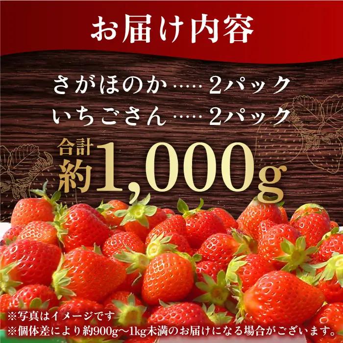 【先行予約・27年1月以降順次発送】さがほのか＆いちごさん 平パック×4P （約1kg）|いちご 果物 旬 イチゴ 苺 フルーツ 佐賀県産 佐賀産 佐賀| 吉野ヶ里町/リエンサーク [FCC004]