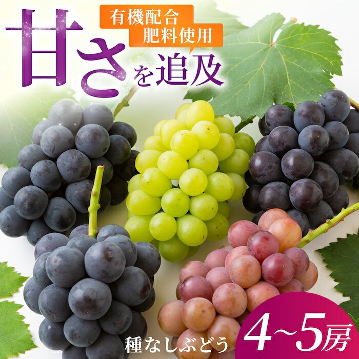 【ふるさと納税】【先行予約】有機配合肥料使用 種なし ハウスぶどう 4~5房 プレミアムセット 2025年7月中旬から8月上旬 出荷予定【春光園】 ぶどう ブドウ 葡萄 果物 フルーツ 詰め合わせ 冷蔵 送料無料 福岡県 うきは市