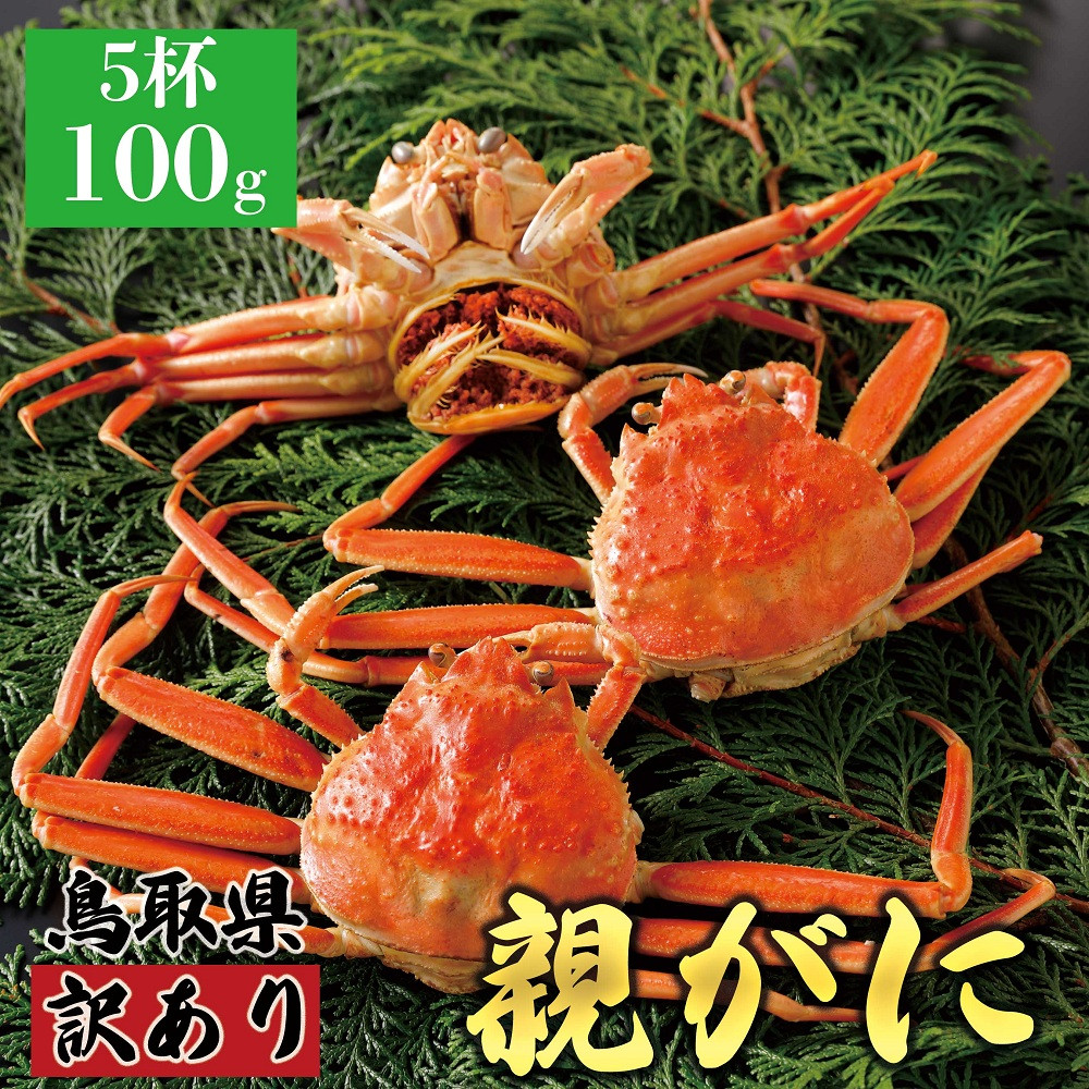 1071.【2025年12月発送】鳥取県産 特撰 親がに 姿【セコガニ】（茹）【訳あり】100g 5杯