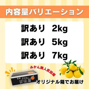 先行受付 訳あり はるか 2kg 【発送時期 1月中旬～3月】 なくなり次第終了 柑橘 かんきつ 期間限定 みかん 蜜柑 冬 糖度 みかん職人武田屋