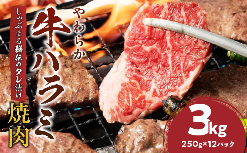 
            やわらか牛ハラミ焼肉　秘伝のタレ漬け3kg(250g×12P)_mk146-029
          