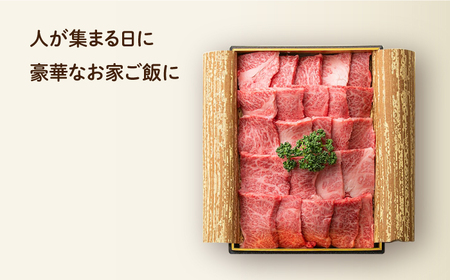 【3回定期便】 長崎和牛 焼肉 カルビ 約500g 長与町/ワタナベ商店[ECT022]