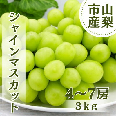 【ふるさと納税】【2026年先行予約】やみつきシャインマスカット 3kg(4～7房)【配送不可地域：離島】【1689782】